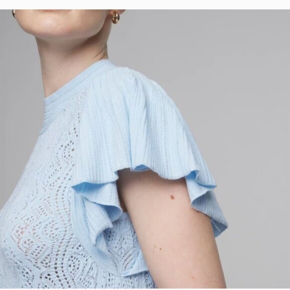 NWT WHBM LACE BODICE RUFFLE - Picture 3 of 3